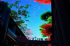 397-Xi'an,12 luglio 2014